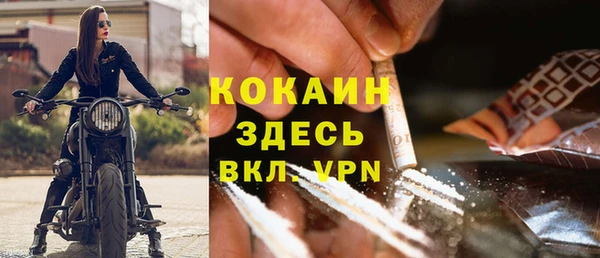 трава Арсеньев