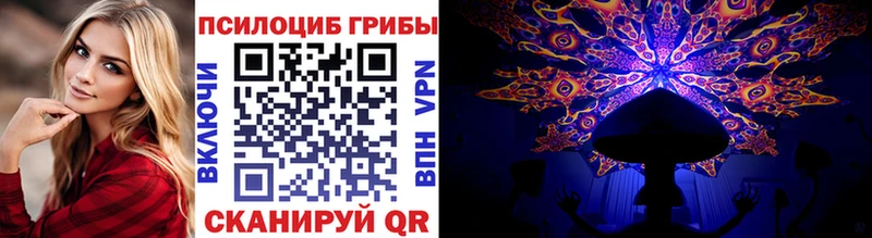 Галлюциногенные грибы мицелий  Купить где  Балтийск 