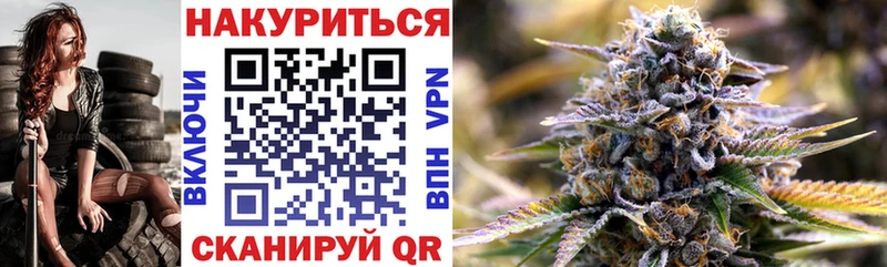 Конопля конопля Балтийск